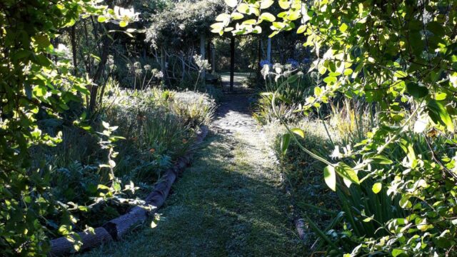 0b279867-479c-4b7d-bde7-2f521bfc1dee