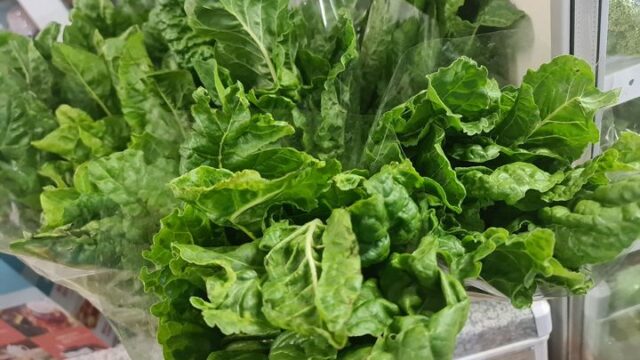 270260612_348586570410978_5829515799294197446_n