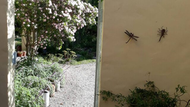 3f8ce082-d77b-4f92-9841-5a17445276a3