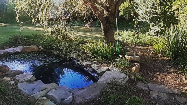 3fac9031-1d04-4f37-96ba-0707613634d0