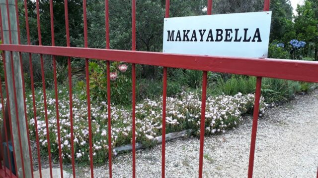 69b93152-ecf7-4601-83a0-d1ea3e54513b