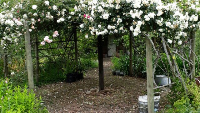 79ef9f8b-079c-401c-8d0a-6afc8c93ceda