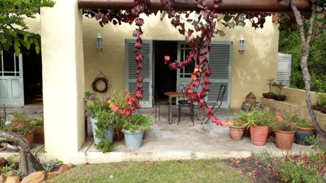 98a1406e-d2da-4c07-bdab-38ebfa42cf82