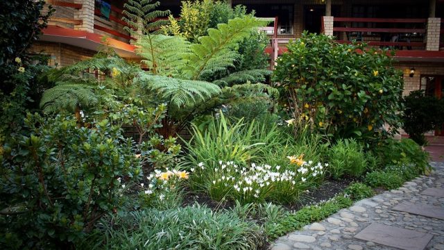 m_storms_river_guest_lodge_2_86