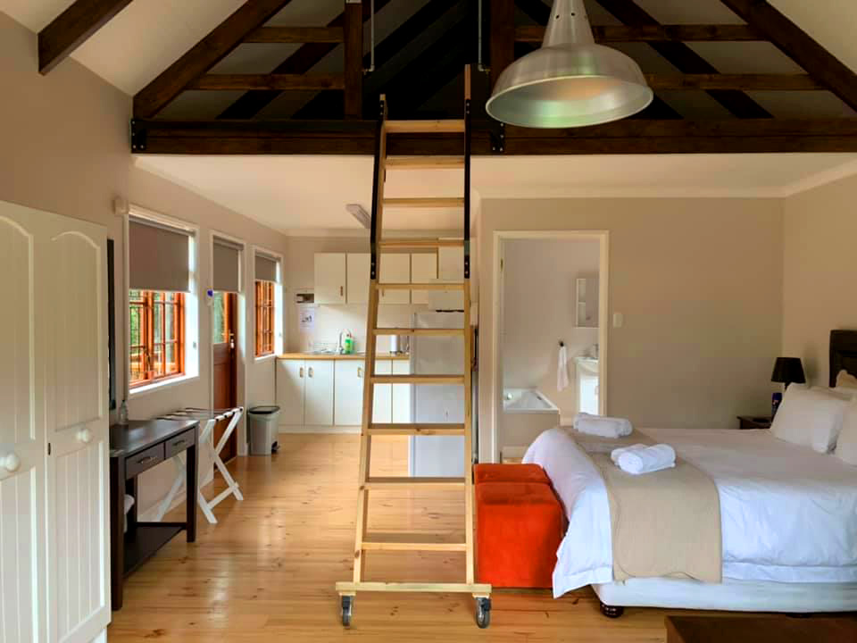 suspension-bridge-13